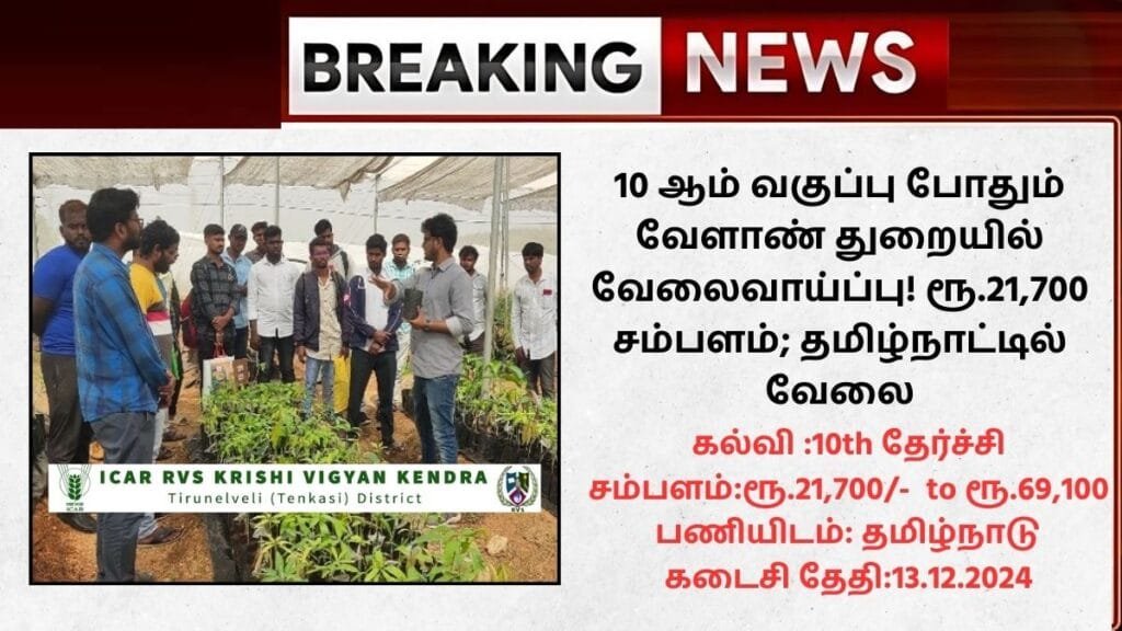 KVK Tirunelveli Recruitment 2024
