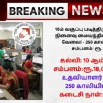 TMC Recruitment 2025