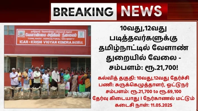 KVK Perambalur Recruitment 2025