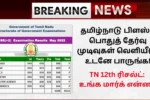 TN 12th Result 2025