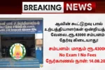 Aavin Recruitment 2025