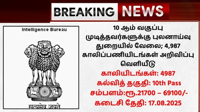 IB Recruitment 2025