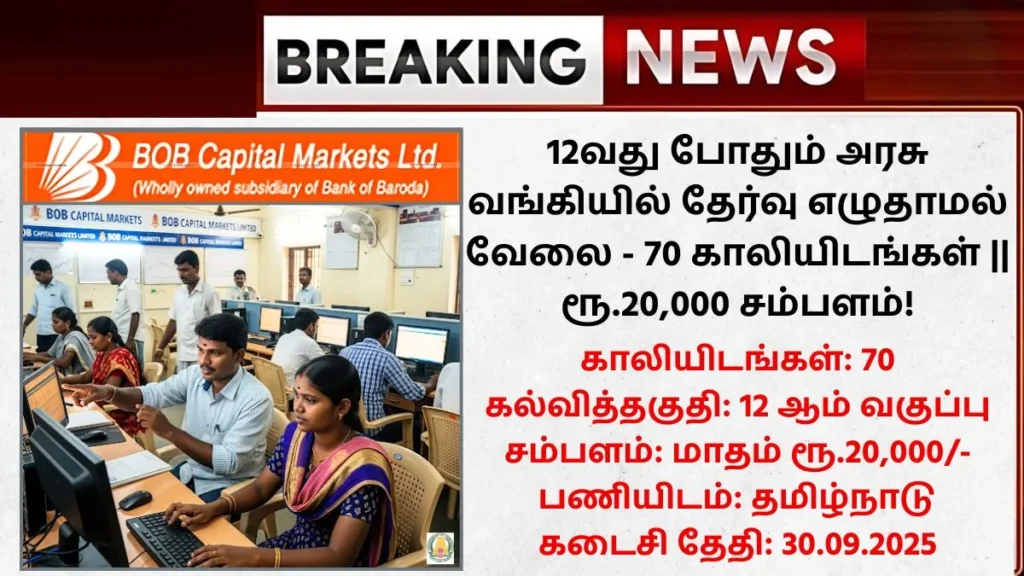 BOB Capital Markets Recruitment 2025