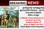 TN Forest Department Recruitment 2025