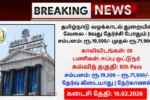TN Litigation Department Recruitment 2026
