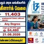 IBPS Clerk வங்கிப் பணியாளர் தேர்வு வாரியம் வேலைவாய்ப்பு 2026 – 11,403 Customer Service Associate Clerk காலியிடங்கள்